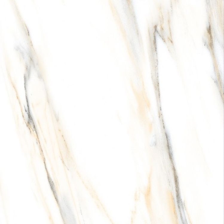 AGL Calacatta Gold Matte 24 x 24